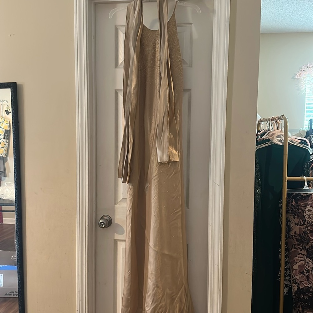 Plus Size 14 Gold Gown One Spot On it So Make Offer
